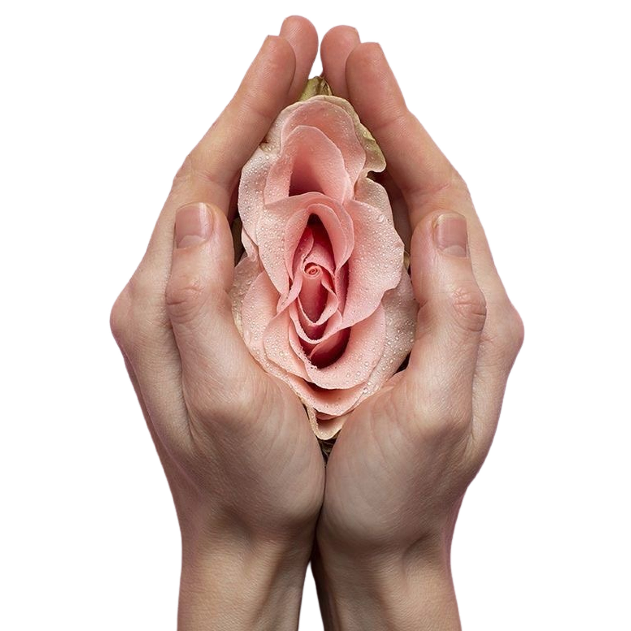 Cirugía genital
